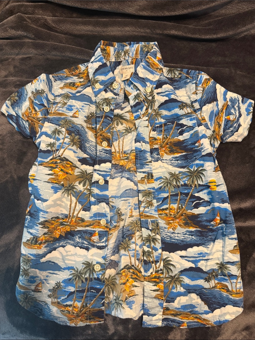 Crewcuts Blue and Gold Tropical Button-Down Shirt